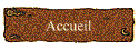 Accueil